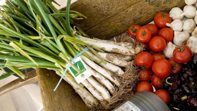 Manojo de 'calçots' y tomates para comer en Tarragona / XAUXA - WIKIMEDIA COMMONS