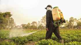 Un hombre rocía pesticidas sobre unos cultivos / FUNDACION LA CAIXA