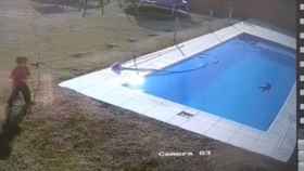 Un niño salva a su perro de morir ahogado en su piscina / TIKTOK