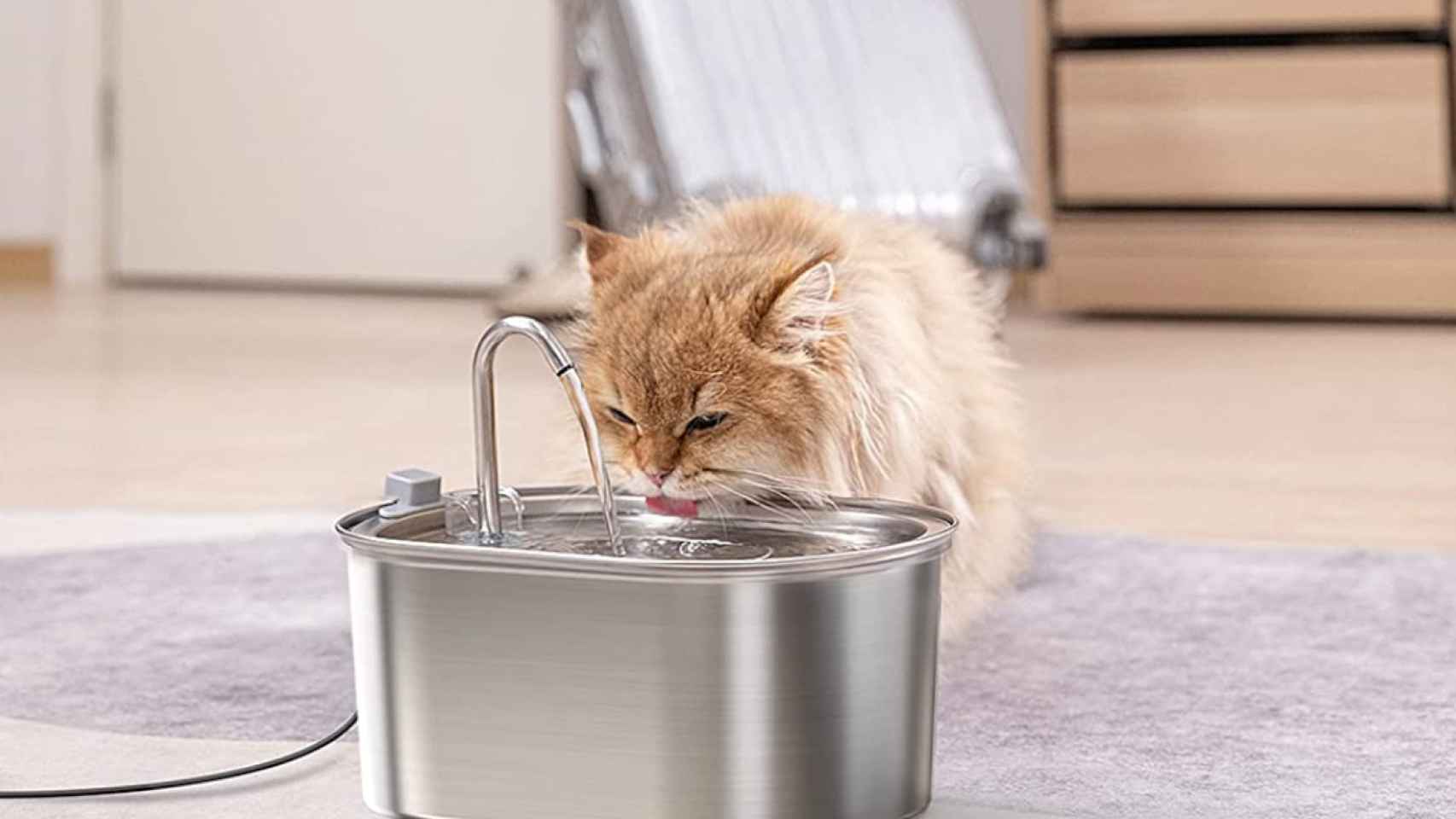 Lo mejor para tu mascota! Agua fresca y filtrada para tu gato gracias a  esta fuente de agua rebajada un 35%