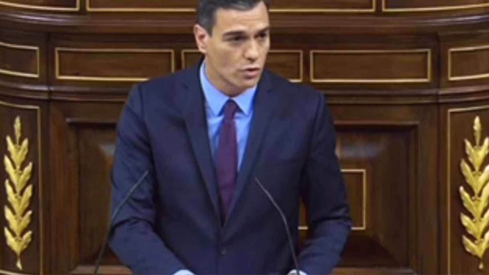Pedro Sánchez, en su comparecencia en el Congreso de Diputados / RTVE