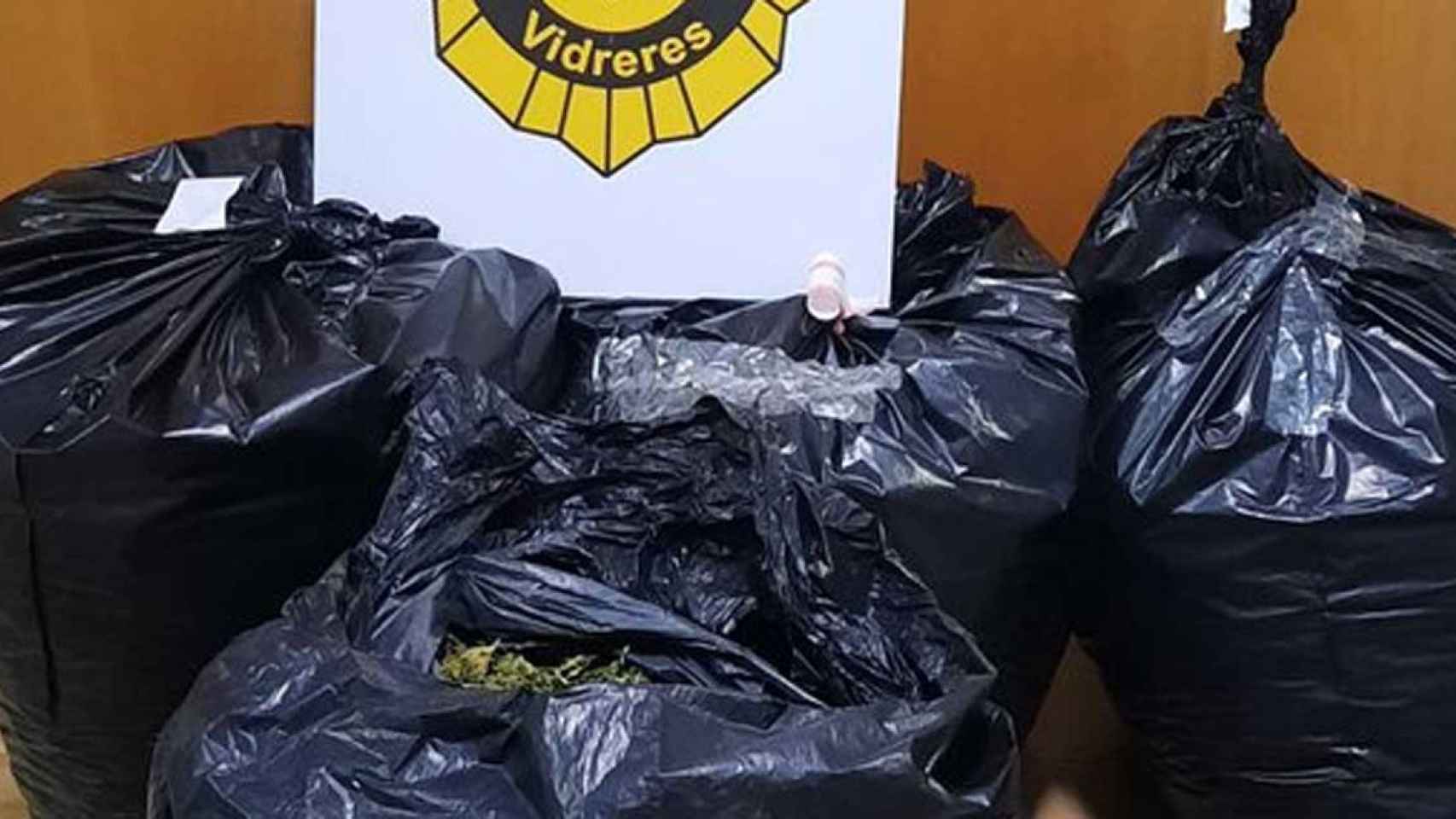 Bolsas de basura encontradas en Vidreres con marihuana en su interior / @ajvidreres (TWITTER)