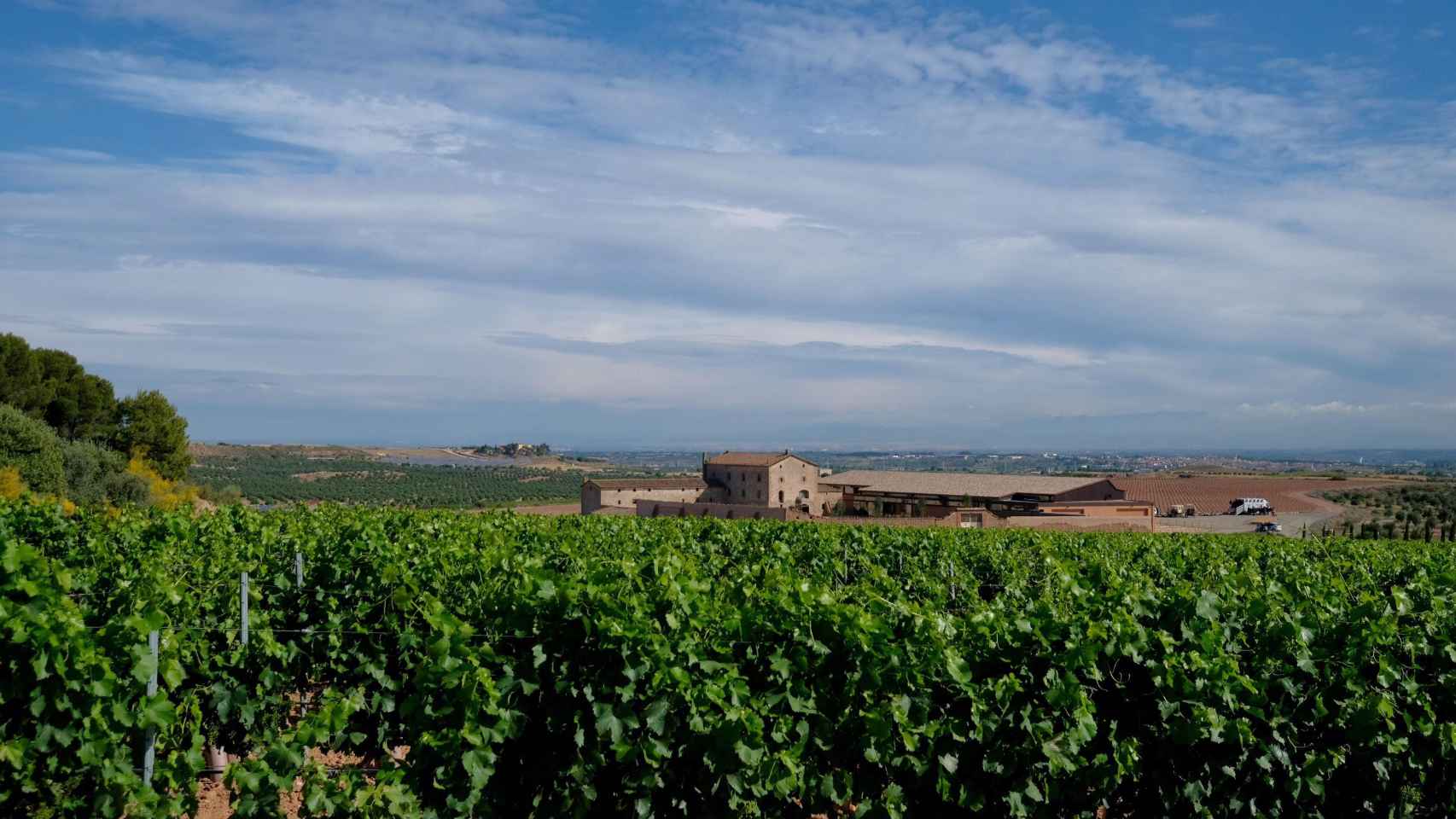 Las viñas de la nueva finca Torres y el 'celler' Purgatori