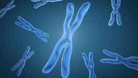 Imagen de un cromosoma X / CG