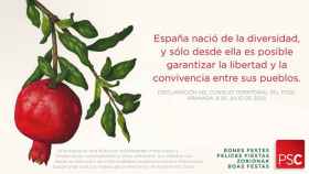 La felicitación de Navidad, alusiva a la España plural, que este año ha enviado el PSC / CG