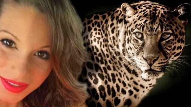 La mujer de Ivan Rakitic, Raquel Mauri, observada por un leopardo / FOTOMONTAJE DE CULEMANÍA