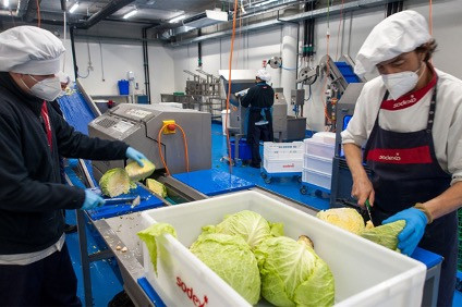 Trabajadoras de la sede corporativa tratan las verduras que vienen directamente de la recolecta / BANCO SANTANDER