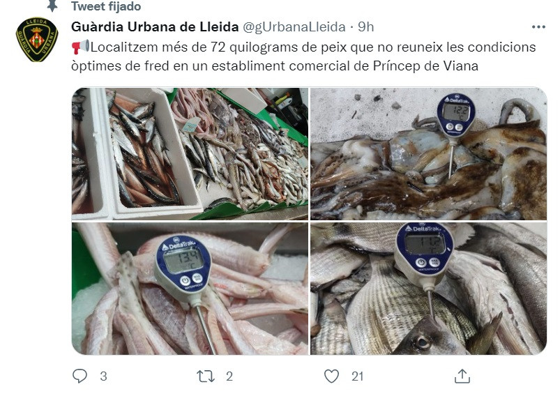 La Guàrdia Urbana de Lleida interviene 72 kilos de pescado en mal estado / TWITTER