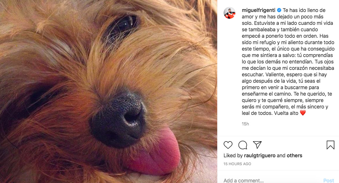Miguel Frigenti llora la pérdida de su primer perrito, Valiente / INSTAGRAM