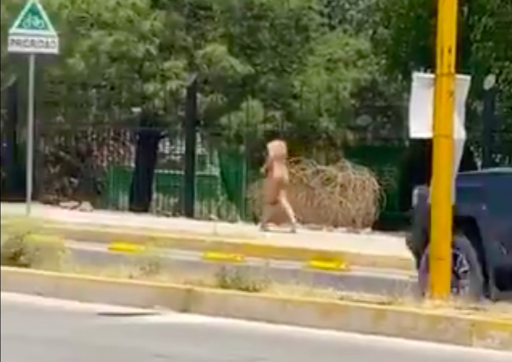 Una mujer corre desnuda por las calles de Aguascalientes, en México, en plena pandemia del coronavirus / TWITTER