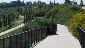 El parque fluvial del río Llobregat, donde tuvieron lugar los hechos / BAIX LLOBREGAT TURISME