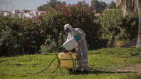 Un trabajador fumiga para paliar al mosquito de la fiebre del Nilo / EP