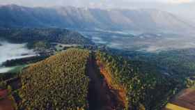 Imagen aérea de los volcanes del Parque Natural de la Zona Volcánica de La Garrotxa, en Gerona / TURISME GARROTXA