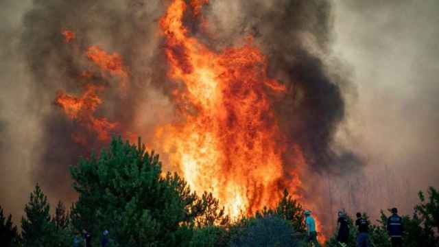 Incendio provocado por un pirómano en uno de los puntos críticos del Mediterráneo / EP