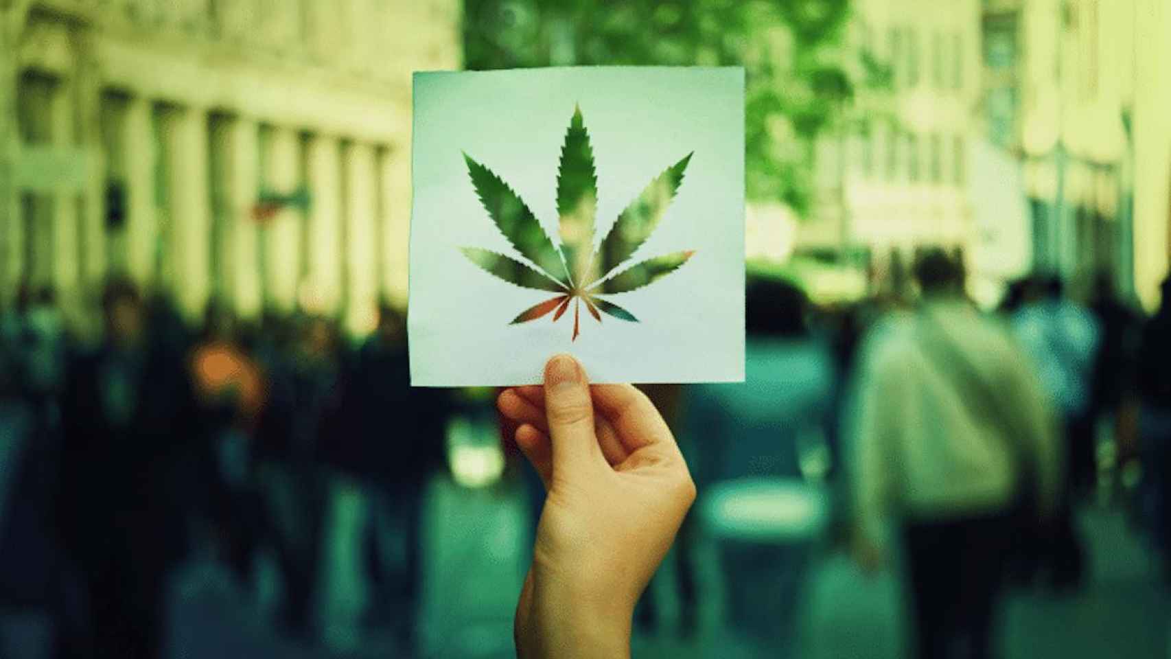 Hoja de marihuana recortada sobre un papel