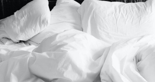 Los chinches suelen estar presentes en camas, sofás y en los pliegues de la ropa / PEXELS