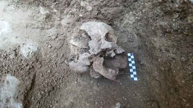 Cráneo hallado por los arqueólogos en un yacimiento italiano /EP