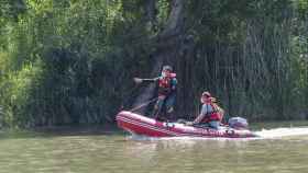 Agentes en el río Pisuerga buscan el conocido cocodrilo de Valladolid / EP