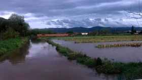 El Parque Agrario del Baix Llobregat inundado por las lluvias / CG