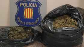 Imagen de los 7,2 kilos de marihuana incautados por la policía en Cunit / MOSSOS D'ESQUADRA