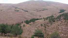 Sierra de Gádor, en Almería, una de las zonas preferentes de reforestación en esta provincia andaluza