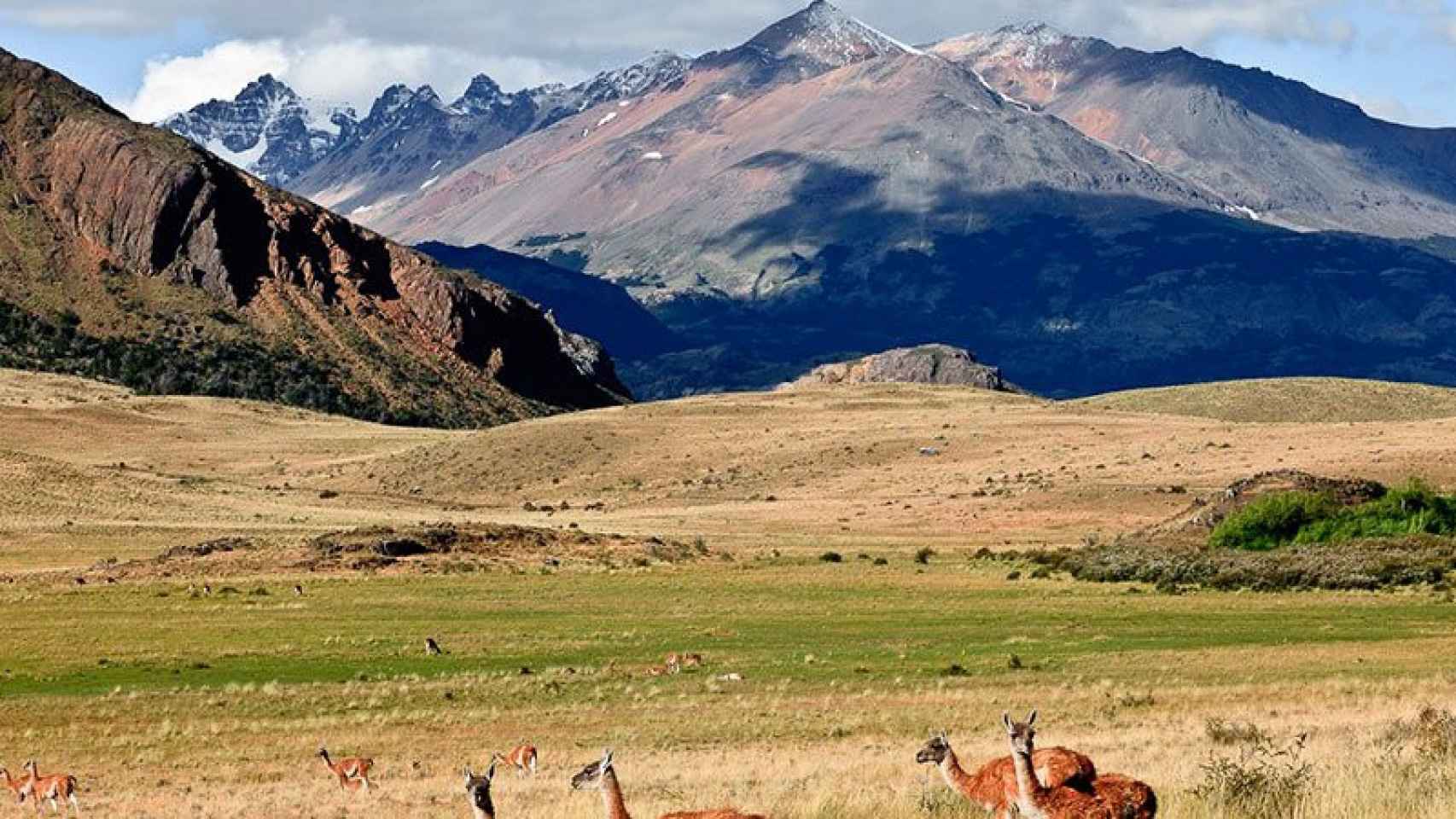 La fundación de los Tompkins invirtió millones de dólares en poner en marcha el Parque Patagonia que aparece en la imagen.