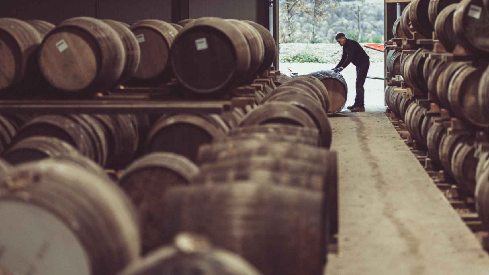 Barricas en el almacén de Braeburn Whisky en Escocia / BRAEBURN
