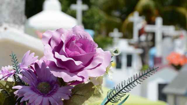 Flores y nichos de un cementerio. Coral Memorial / PIXABAY