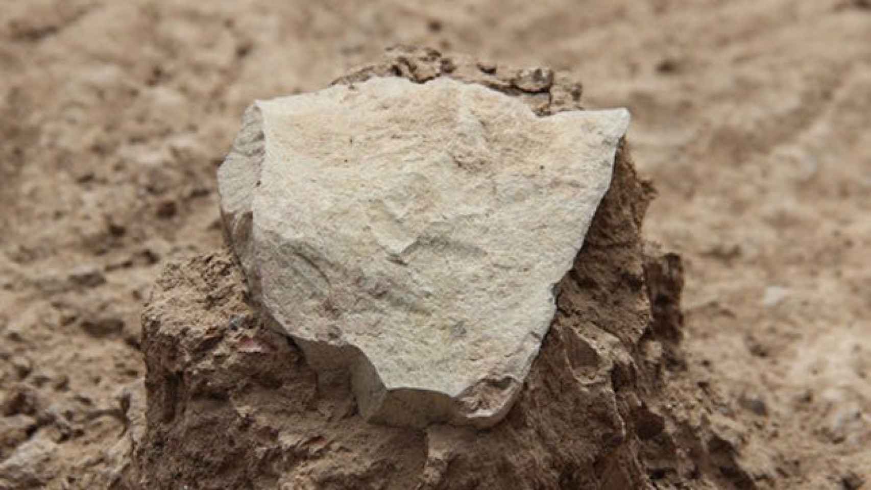 Una de la herramientas de piedra halladas en el yacimiento de Kenia.