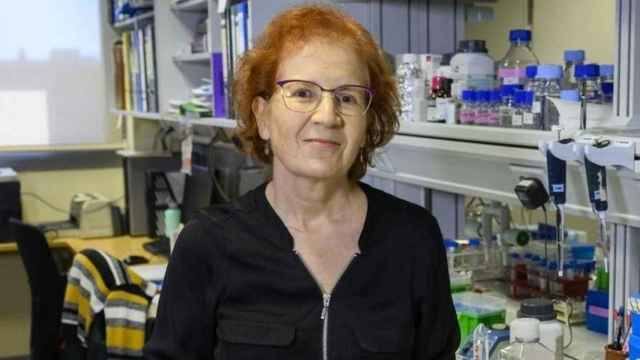 Margarita del Val, investigadora del CSIC /EP