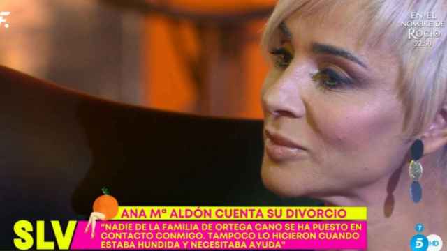 Ana María Aldón en 'Sálvame' / MEDIASET