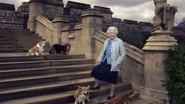 Isabel II con sus perros / EFE