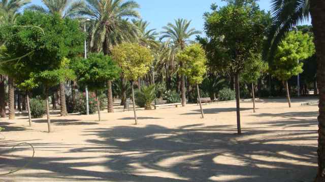 Árboles del parque Joan Miró de Barcelona / OH-BARCELONA.COM (CC BY 2.0)