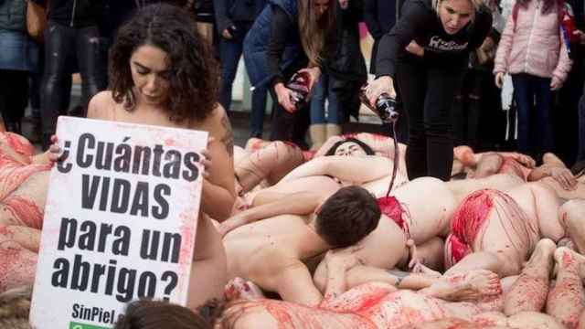 Activistas protestan contra la industria peletera  / EFE