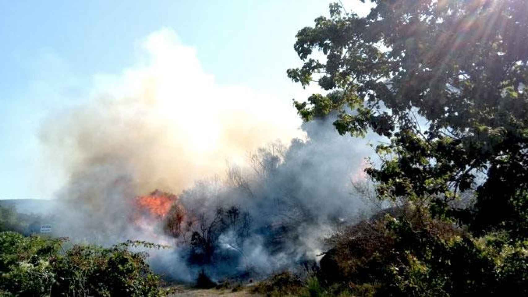 Imagen del incendio forestal que se ha declarado este domingo en la localidad de Roses (Girona) / GENCAT