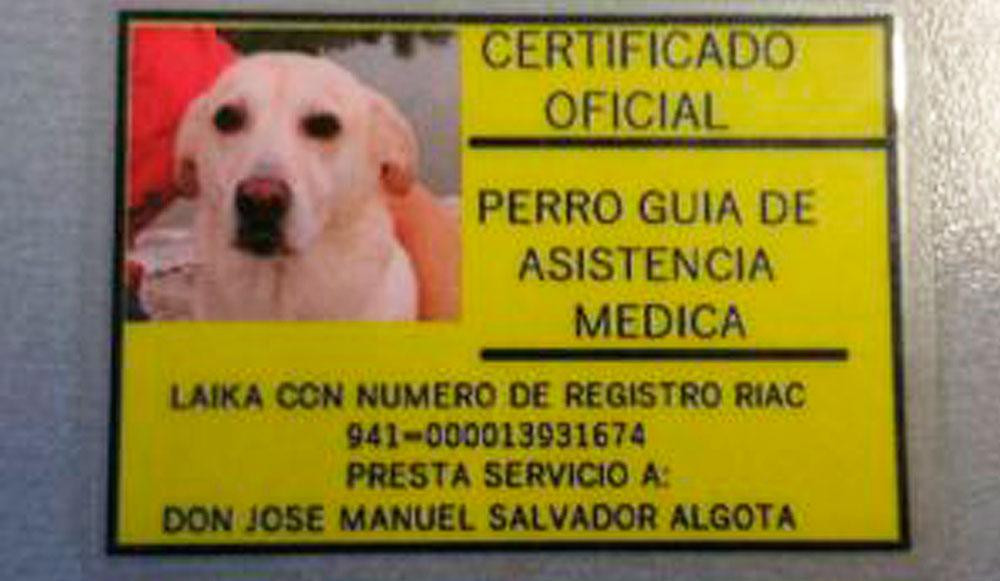 Una de las tarjetas de perro-guía de José Manuel Salvador, el 'rey de los discapacitados' imputado por fraude / CG