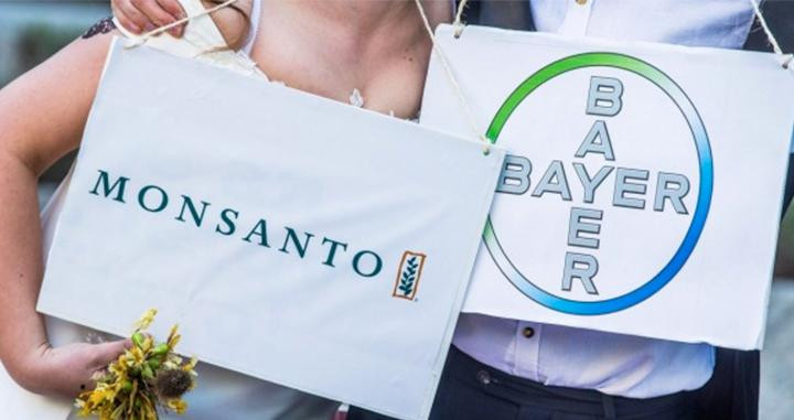 Dos bolsas con las imágenes de Monsanto y Bayer / EFE