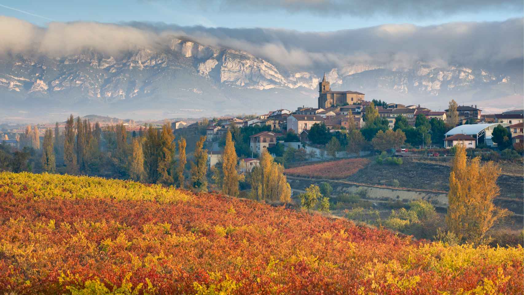 La Rioja alavesa es una región que ofrece una gran variedad de contrastes y de planes descubrirla / ALAVATURISMO.EUS