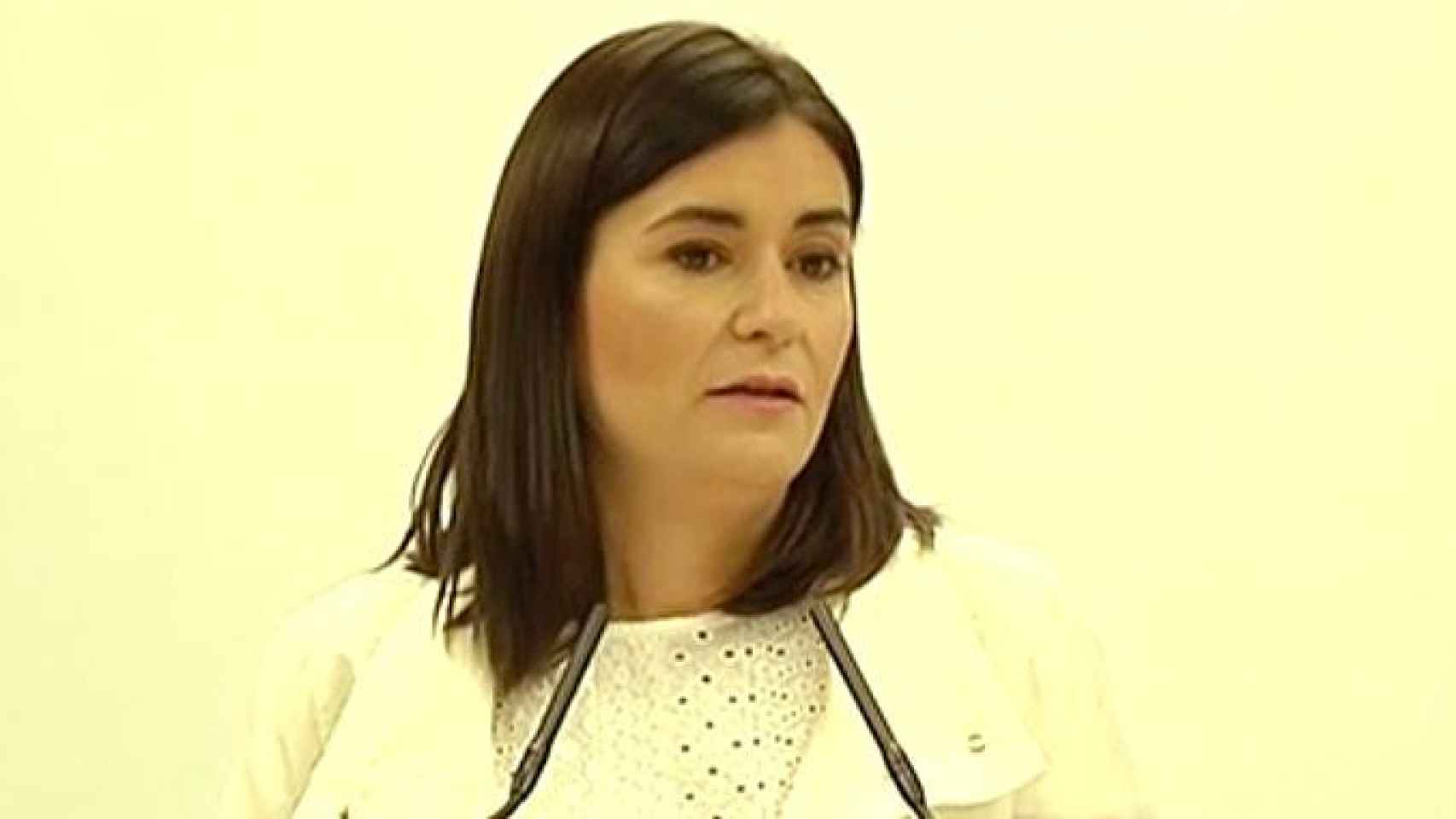 Carmen Montón, ministra de Sanidad, en rueda de prensa sobre el máster / CG