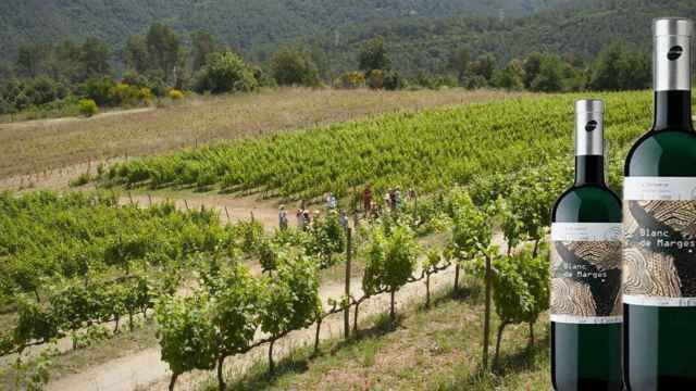 Dos botellas de Blanc de Marges de la cooperativa L'Olivera / COOPERATIVA L´OLIVERA