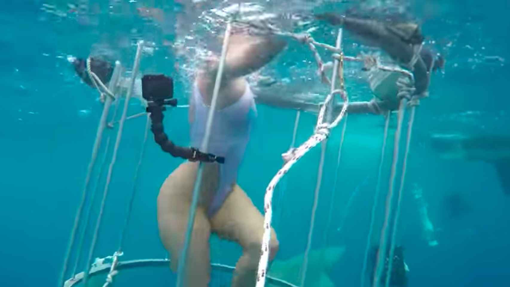 Un tiburón muerde a una actriz porno en Florida