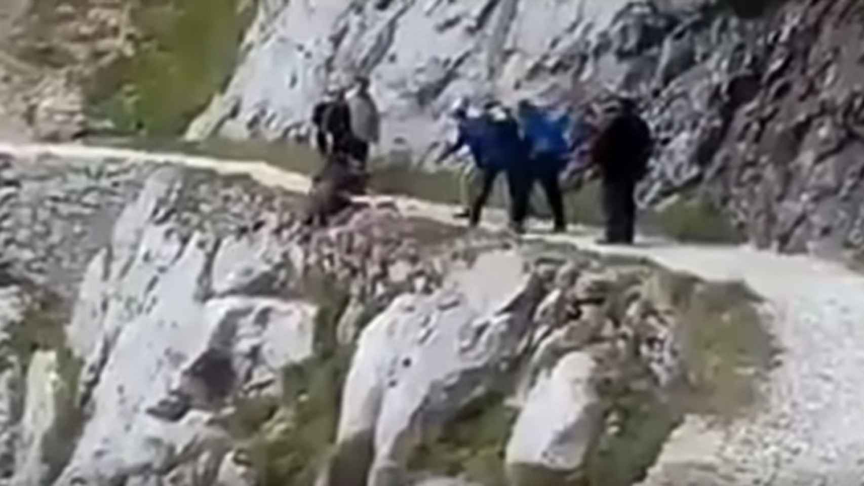 Una imagen del vídeo de los excursionistas lanzando al jabalí