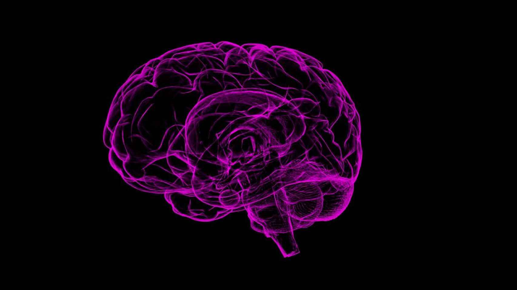 Imagen digital de stock de un cerebro / PIXABAY