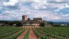 La zona del castillo de Milmanda, donde Bodegas Torres cultiva su nuevo vino, Sons de Prades.