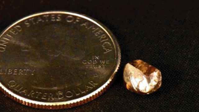 Diamante marrón encontrado en un parque/  TWITTER