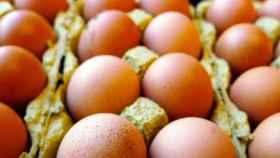 Guía práctica y fácil para aprender a guardar los huevos en la nevera / AGENCIAS