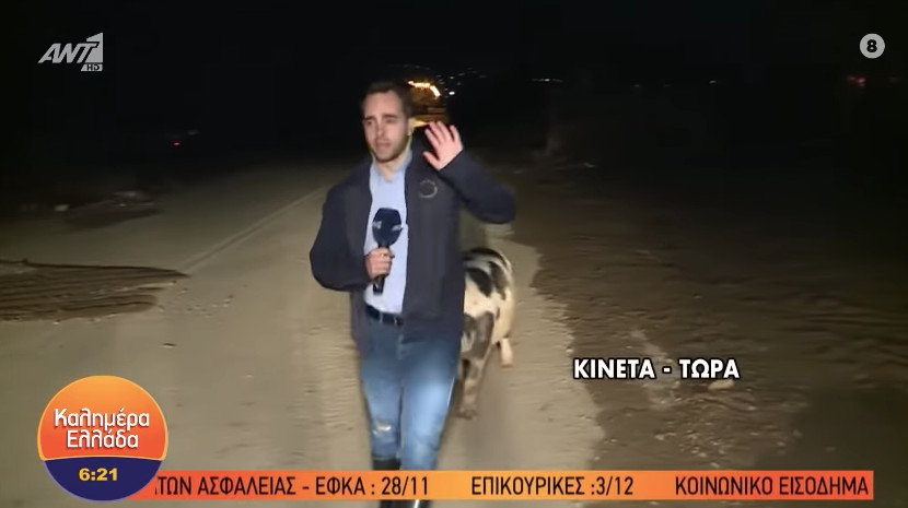El cerdo tras el reportero griego durante la conexión en directo o/ ANT1