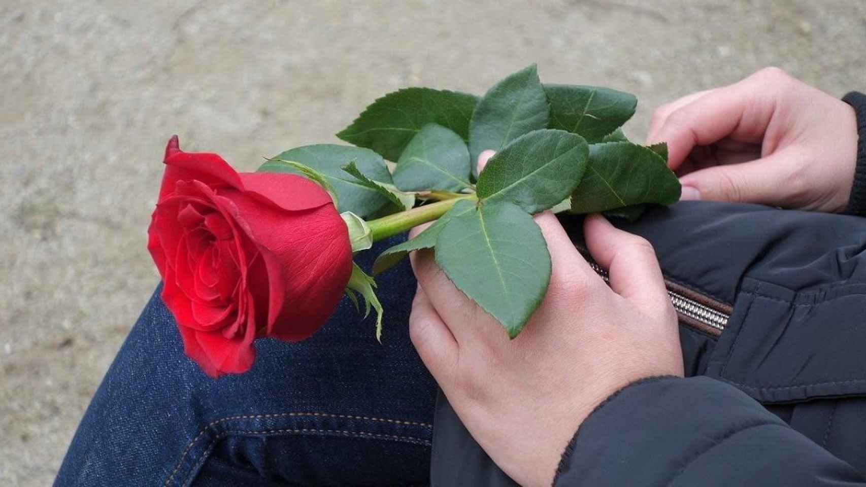 La rosa es la flor típica del día de San Valentín /  GORAN HORVAT - PIXABAY