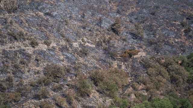 Vista general de Artesa de Segre tras el incendio / PAU DE LA CALLE - EUROPA PRESS