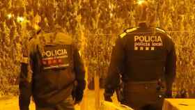 Un mossos y un policía local, en la nave de la macroplantación de marihuana en Olesa / MOSSOS